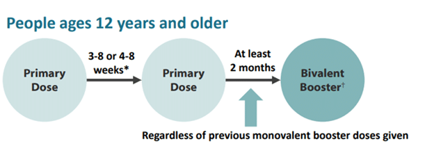 An informational chart showing age groups who should receive a COVID-19 booster.